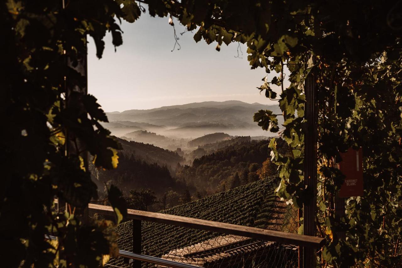 ロイトシャッハ Weingut Kollerhof Am Eichbergヴィラ エクステリア 写真