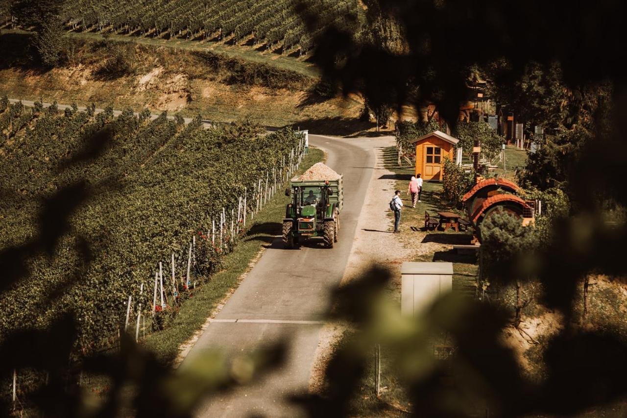 ロイトシャッハ Weingut Kollerhof Am Eichbergヴィラ エクステリア 写真